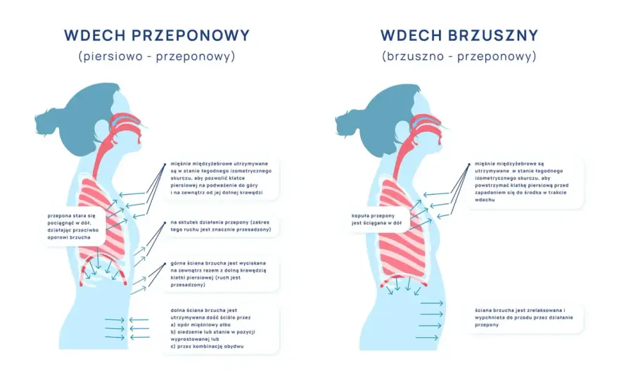 Oddychanie przeponowe - Jak odzyskać kontrolę i lepiej się regenerować
