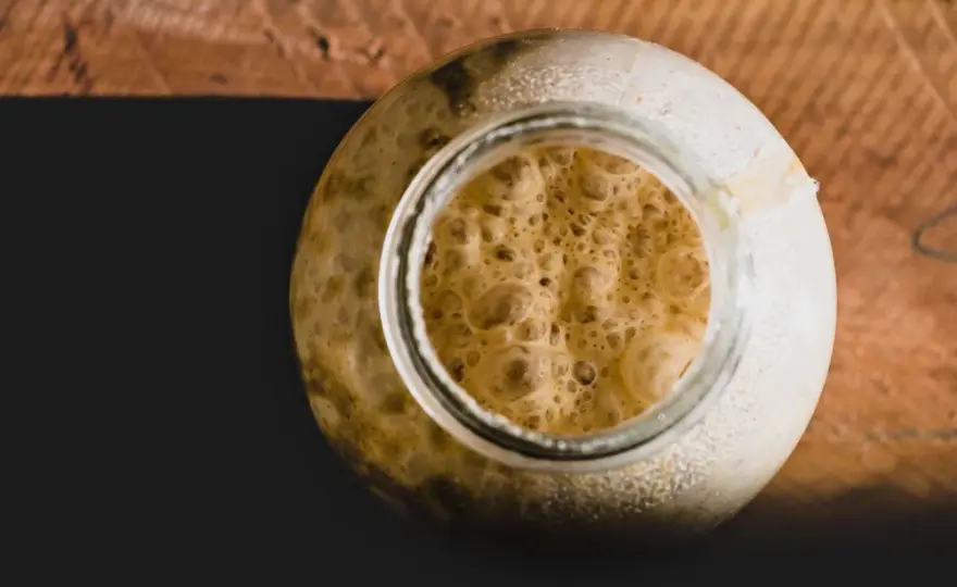 Hefe vs. Bakterien im Bier - Was Brauer wissen müssen