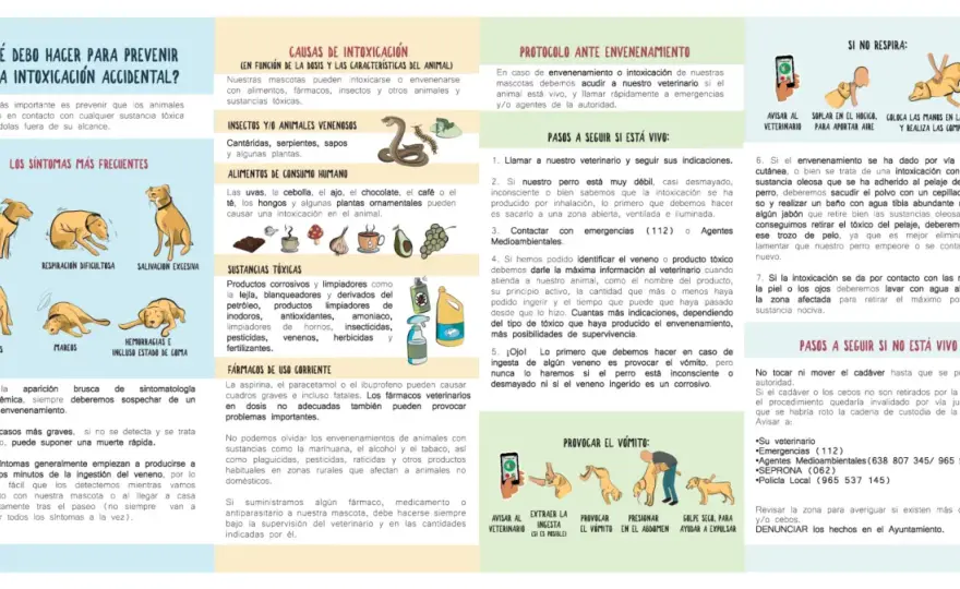 Perro intoxicado - Qué hacer y cómo actuar rápido