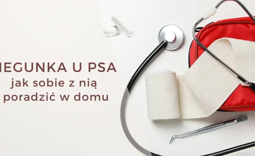 Biegunka po zmianie karmy u psa - Ile trwa i kiedy do weterynarza?
