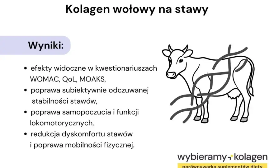 SMA a stawy, kręgosłup i kości - co naprawdę pomaga?