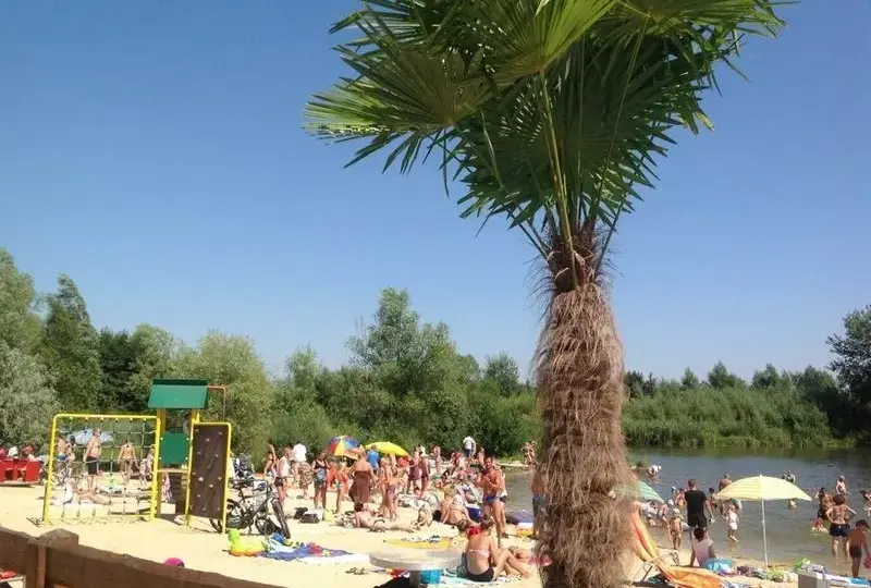 Rzeszów z dzieckiem: Od bajek po piwnice niezapomniane chwile