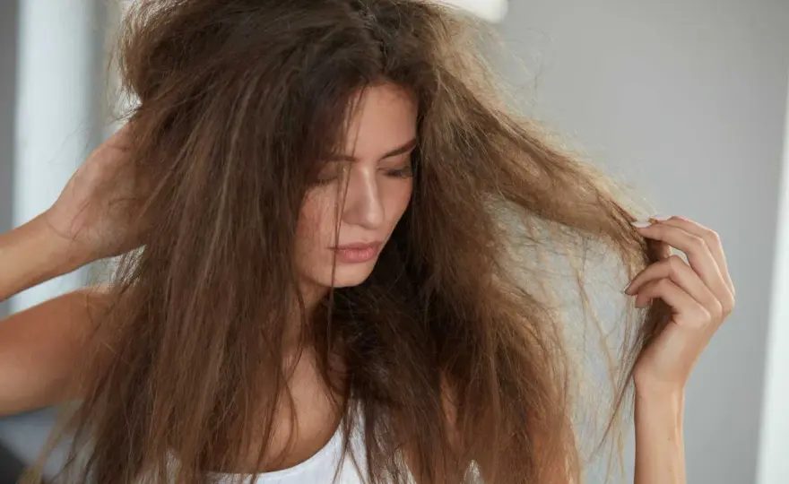 Hormone & trockene Haare - Was wirklich dahinter steckt