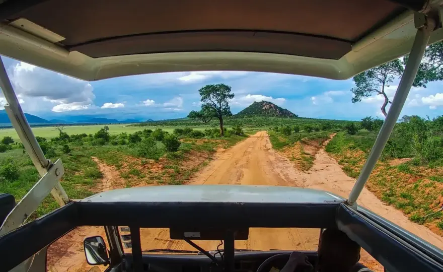 Park Narodowy Tsavo: Przewodnik po safari i planowaniu wyjazdu
