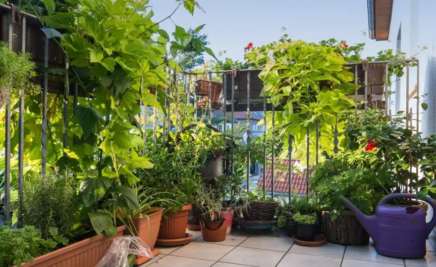 Jak osłonić balkon od wiatru? Skuteczne i estetyczne rozwiązania