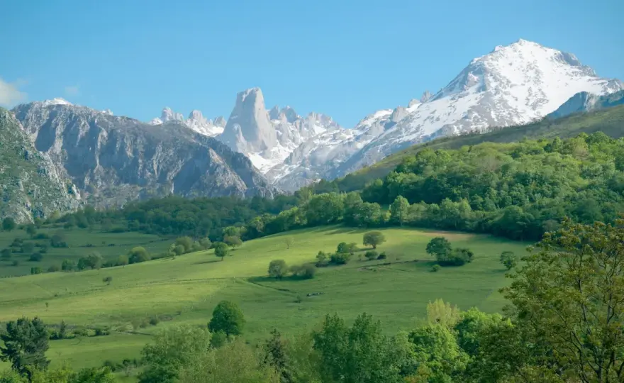 Reservas naturales de España - Guía para una visita perfecta