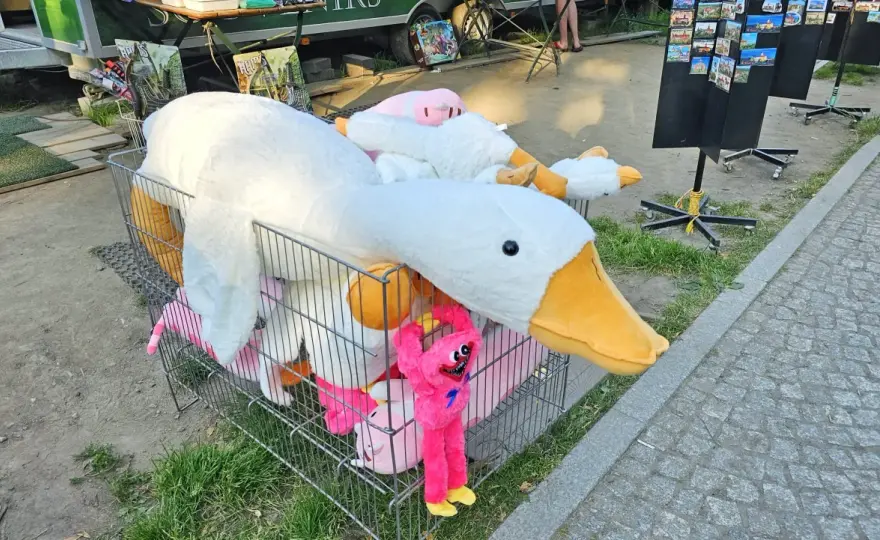 Skąd moda na pluszowe gęsi? Historia Pipy, która podbiła TikToka