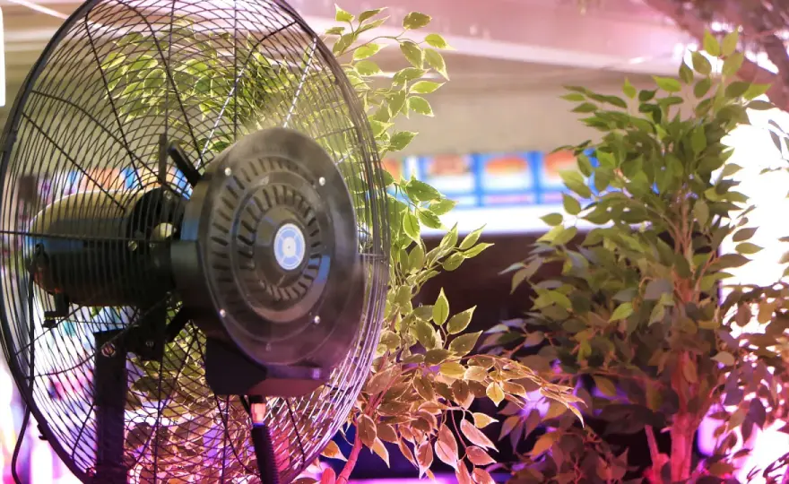 Estrattore vs Aspiratore - La Vera Scelta per la Tua Grow Box