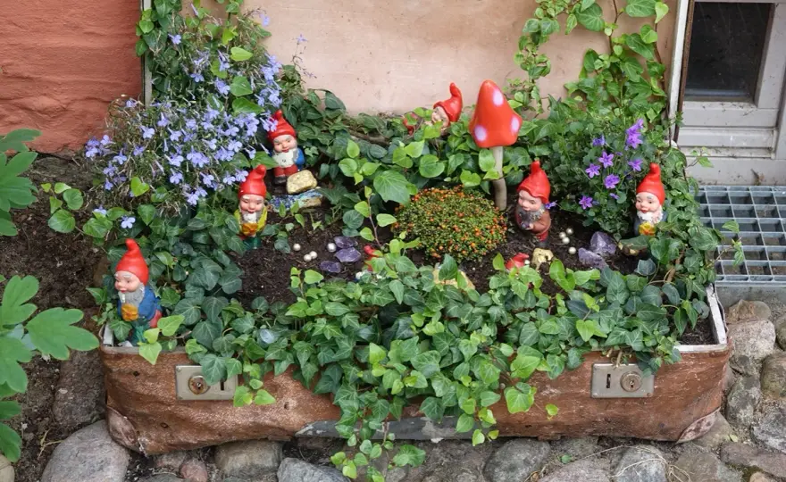 Alten Koffer bepflanzen - so gelingt ein charmanter Mini-Garten