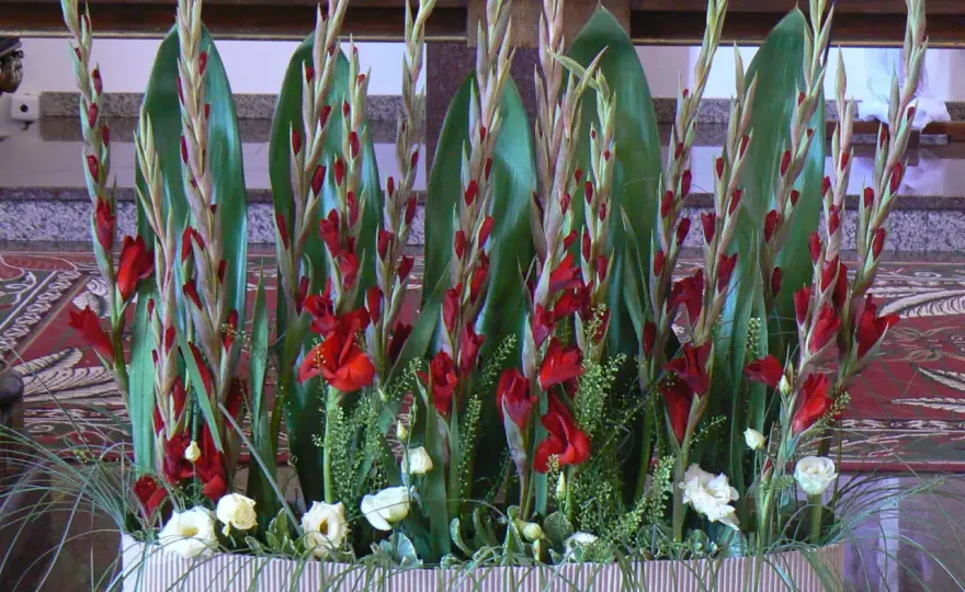 Jakie kwiaty na ołtarz? Najlepsze wybory na wyjątkowe ceremonie