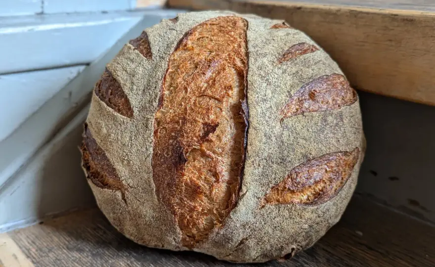Sauerteigbrot Gehzeit - So erkennst du die perfekte Teigreife