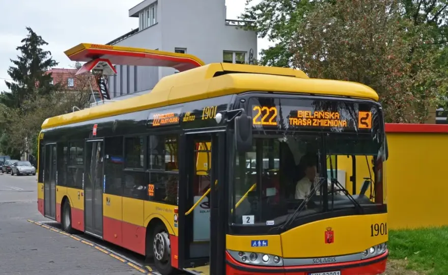 Ile osób zmieści bus/autobus? Limity, kat. B/D i polskie przepisy