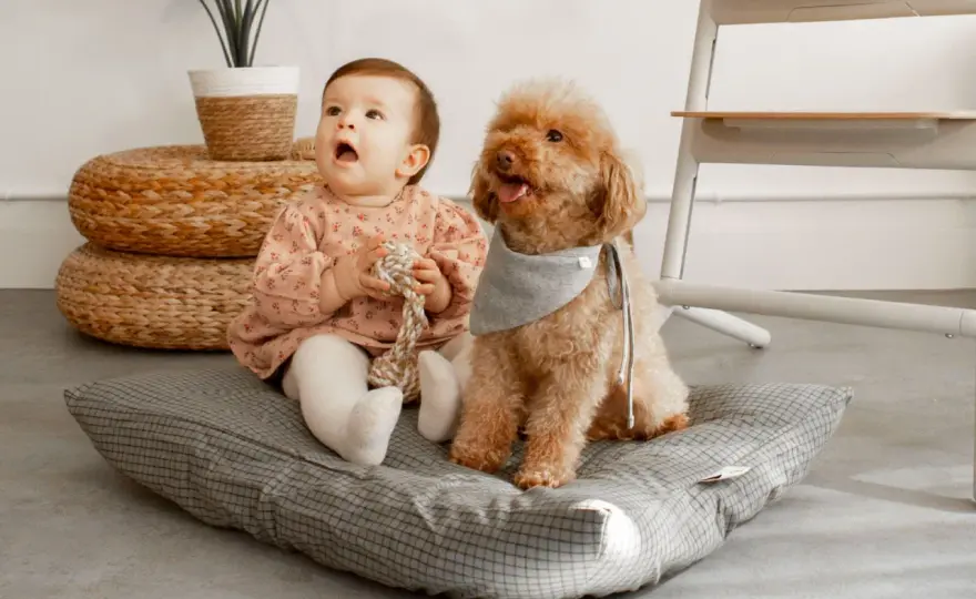 Bebé y perro en casa - Convivencia segura y feliz