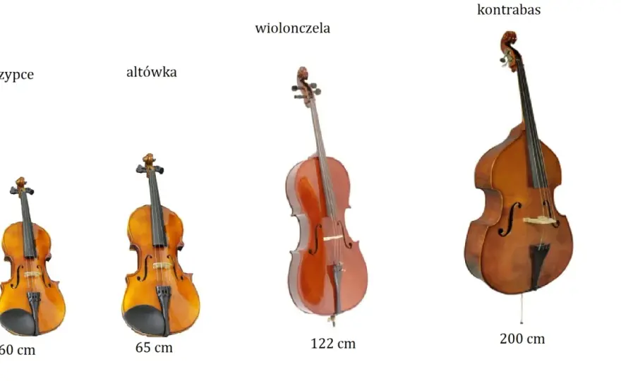 Instrumenty strunowe: podział, rodzaje i wybór pierwszego instrumentu