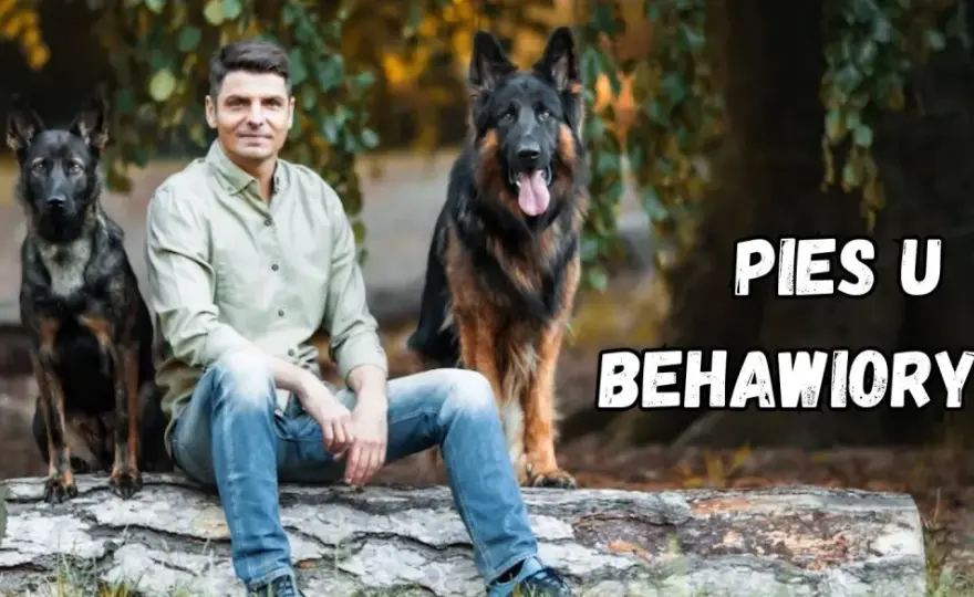 Behawiorysta psów - Kiedy warto go wezwać i jak naprawdę pomaga?
