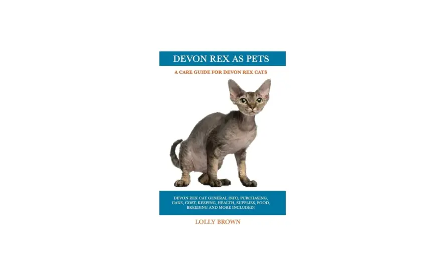 Gato Devon Rex - ¿Es para ti? Guía completa y coste real