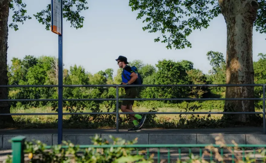Wandern in Mannheim - die besten Touren zwischen Rhein und Wald