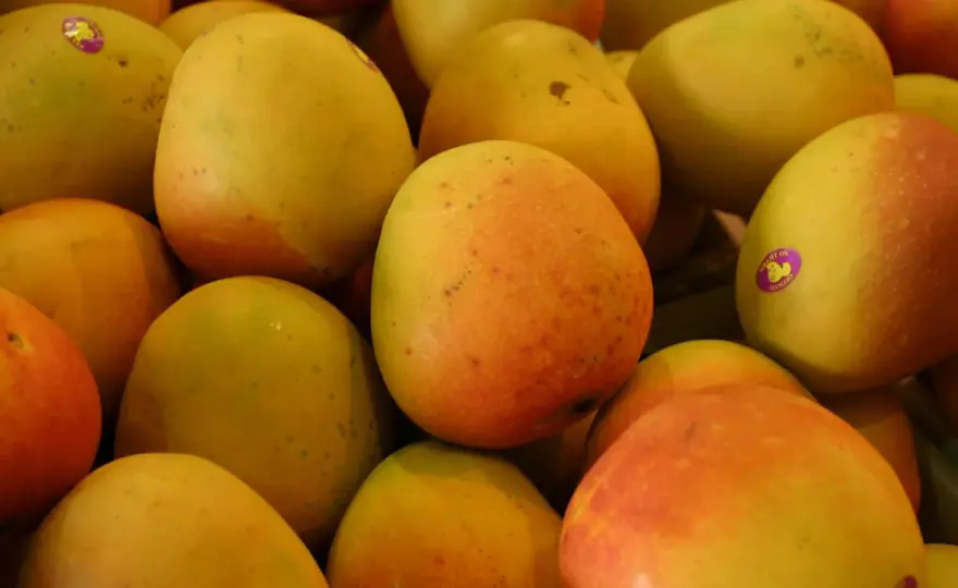 Unreife Mango nachreifen lassen und richtig verarbeiten