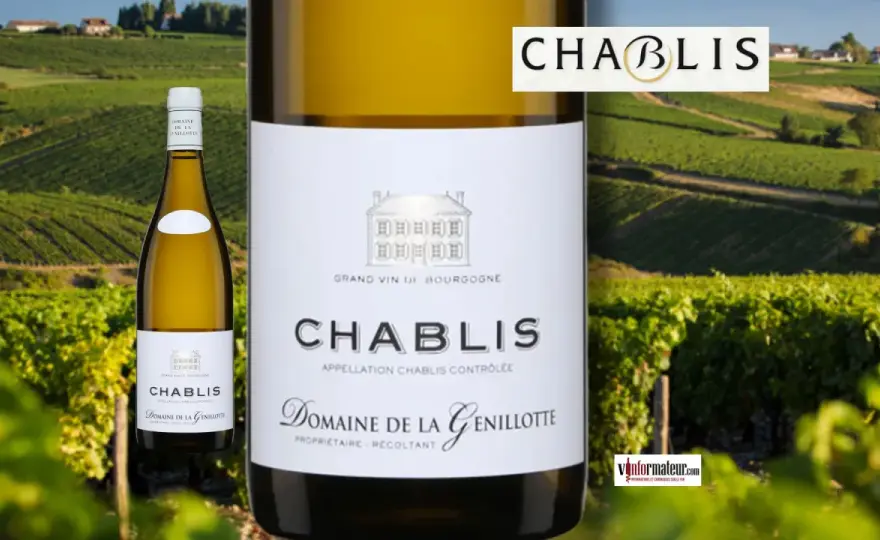 Chablis est-il doux ? Le secret de ce blanc sec révélé !