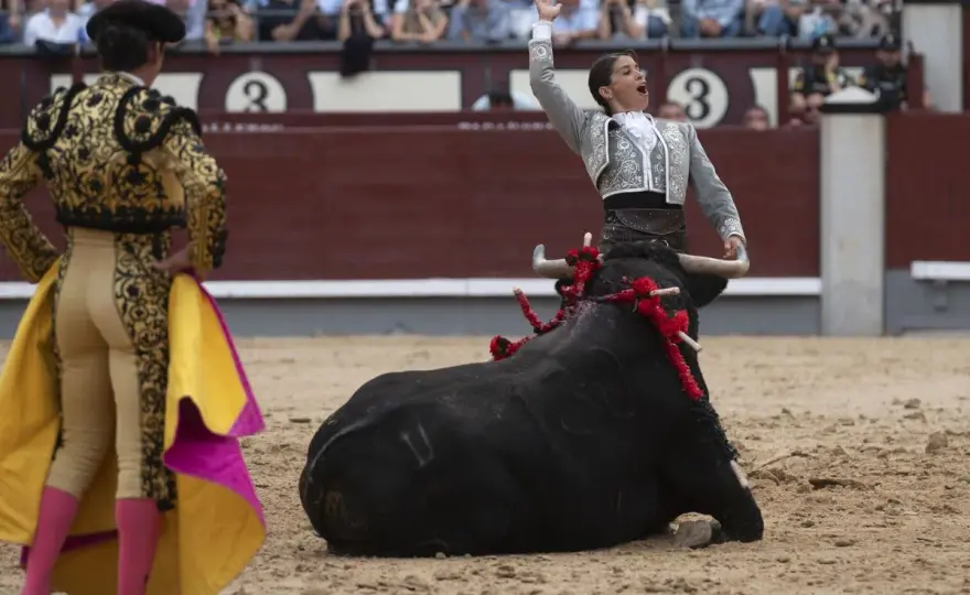 Recorte Taurino - Qué es, suertes y cómo valorarlo