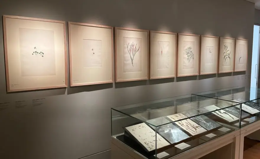 Conservation Framing - Protect Your Art, Preserve Its History