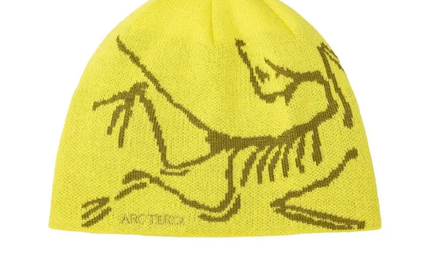 Arc'teryx Bird Head Mütze: Kult-Beanie im Test Lohnt sich der Hype?