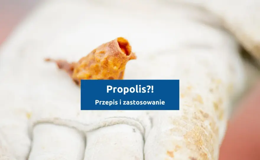 Propolis - jak przygotować nalewkę i maść w domu