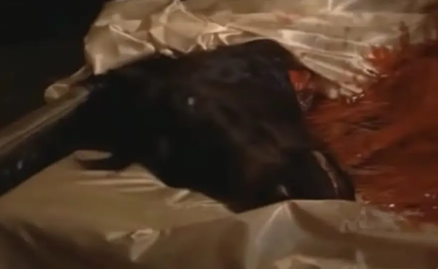 La scena della testa di cavallo ne Il Padrino spiegata