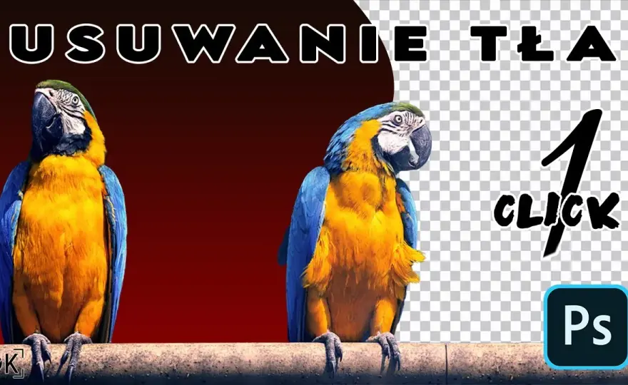 Jak usunąć białe tło w Photoshopie - proste metody krok po kroku