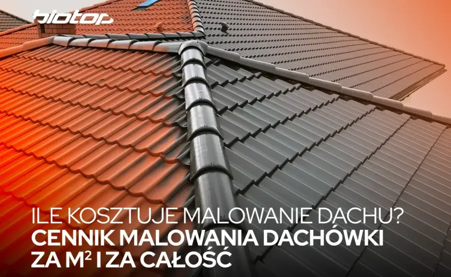 Malowanie dachu cena - Ile kosztuje i kiedy warto?