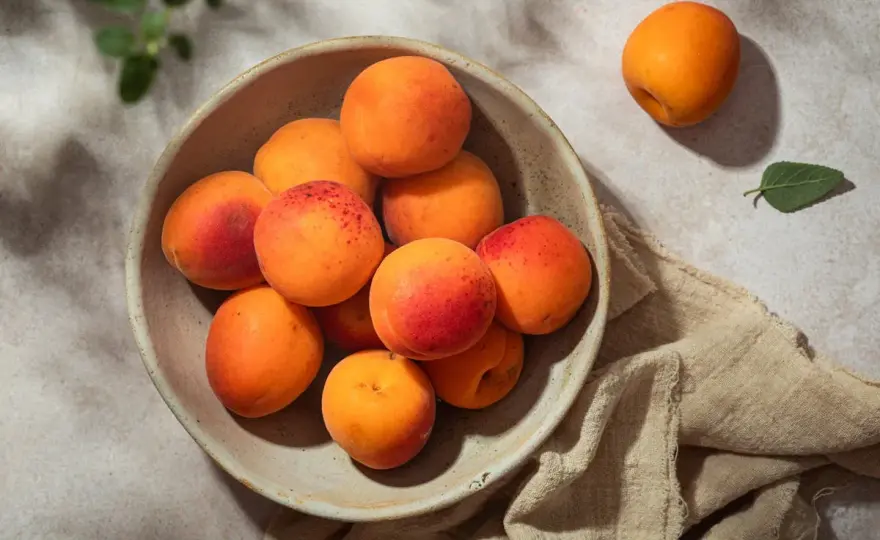 Saison des abricots en France - quand récolter et les conserver
