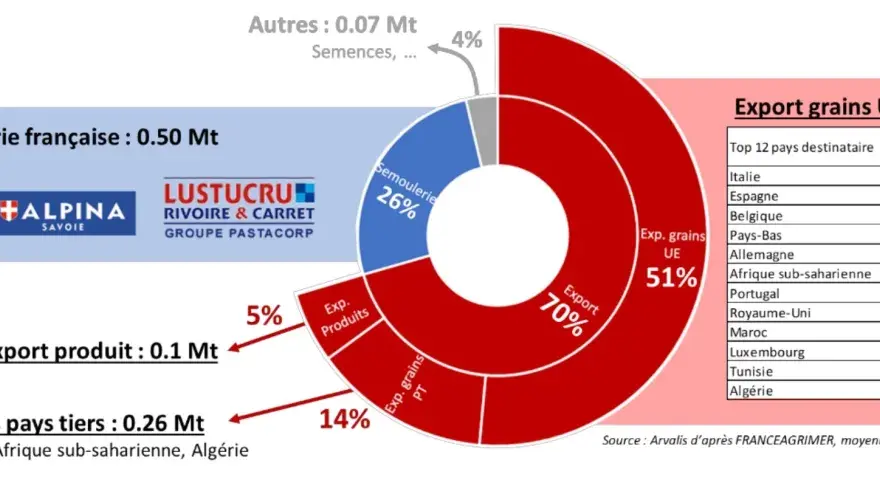 Blé dur - Comment viser la qualité et la marge en grandes cultures