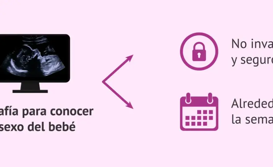 Sexo del bebé - ¿Cuándo saberlo con certeza?