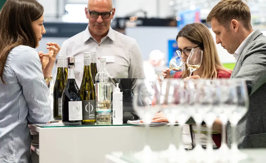 Rheinhessen Wein - Dein Guide zu Winzern, Sorten & besten Weinen
