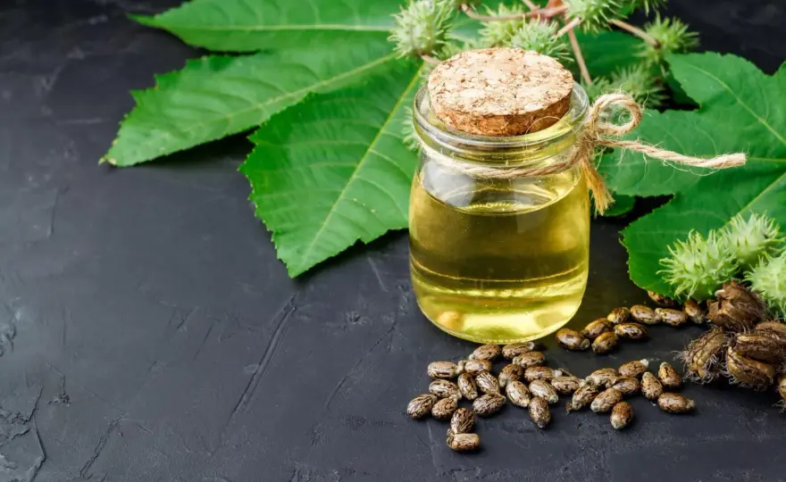 Aceite de ricino para el pelo - ¿Realidad o mito?