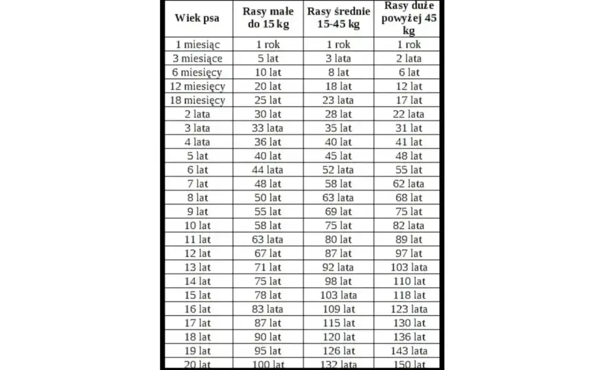 Wynik PSA - jak go interpretować? To nie tylko liczba!