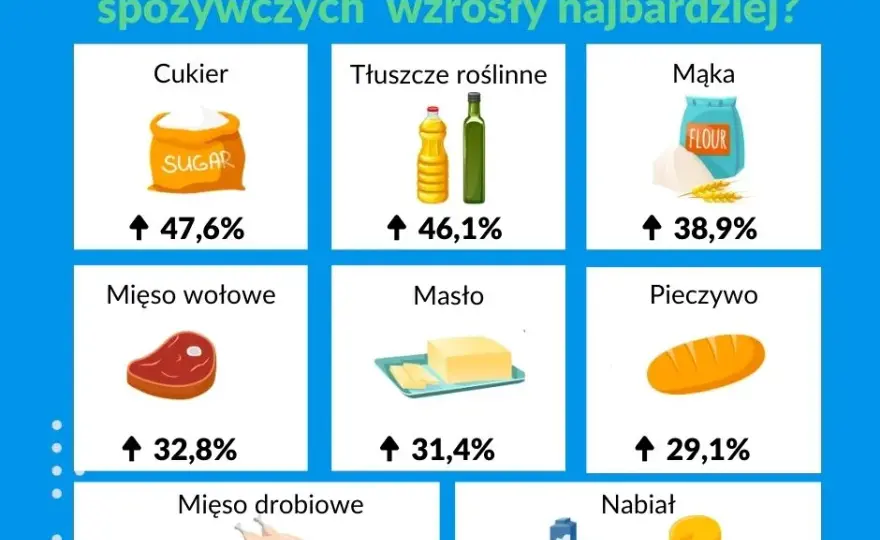 Cena ramenu w Polsce: Jak oszczędzić? Sprawdź, co się opłaca!