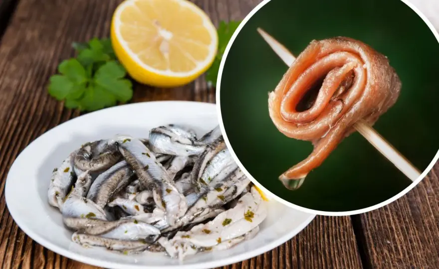 Anszua co to? - Przewodnik po anchovies i sardelach