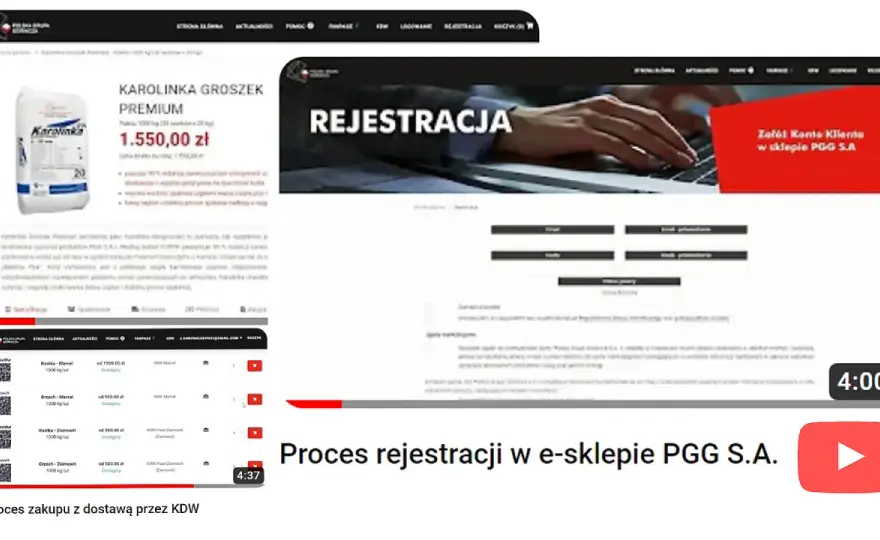Jak kupić węgiel w PGG - Jak uniknąć błędów przy zamówieniu?
