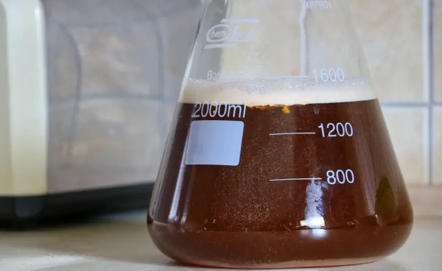 Starter drożdżowy: szybki start fermentacji piwa krok po kroku