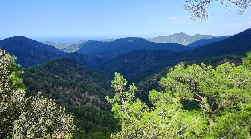 Troodos - jak zwiedzać góry Cypru? Gotowa trasa i baza!