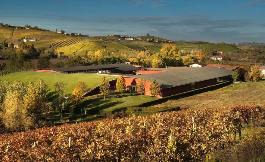 Barolo Vite Colte: la guida per scegliere e gustare il vino