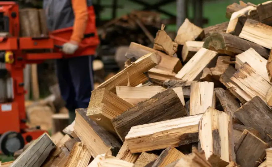 Holzspalter richtig wählen - worauf es bei Kauf und Sicherheit ankommt