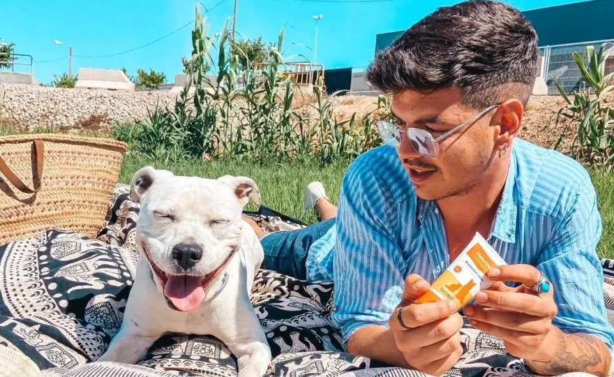 Protector solar para perros: evita quemaduras y cuida su piel