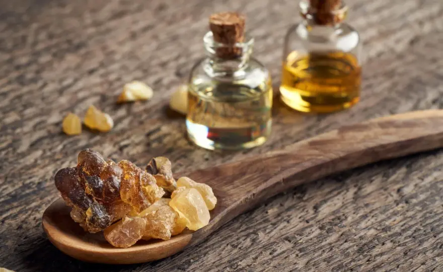Boswellia - Funziona davvero? Guida completa e consigli utili