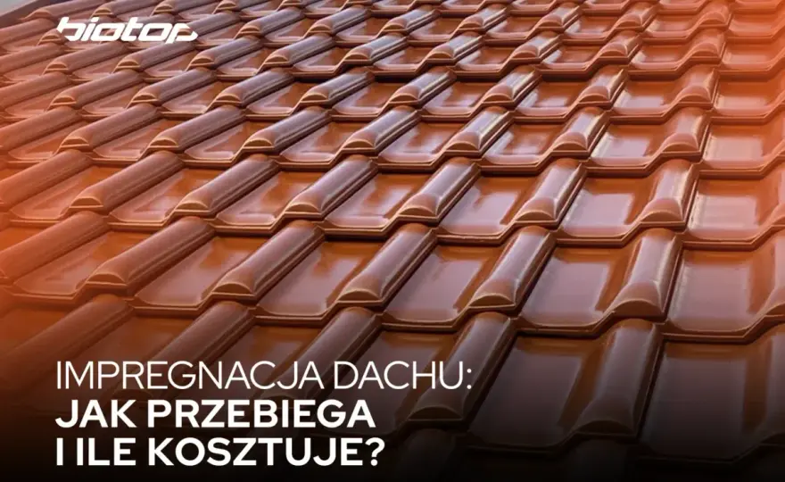 Dachy odporne na afrykańskie warunki: technologie impregnacji prosto z Johannesburga