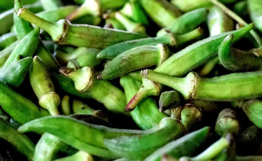 Okra: co to jest? Poznaj smak, właściwości i przepisy