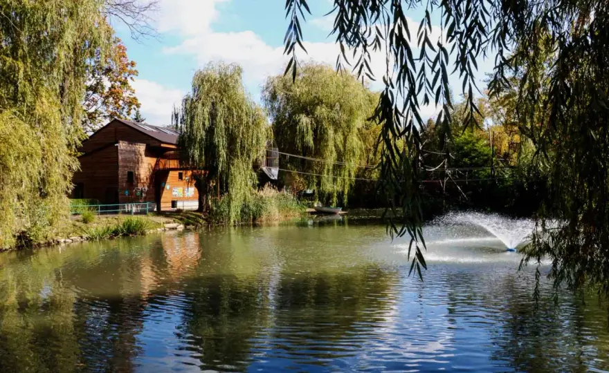 Ile kosztuje bilet do zoo Chorzów? Ceny i ulgi!