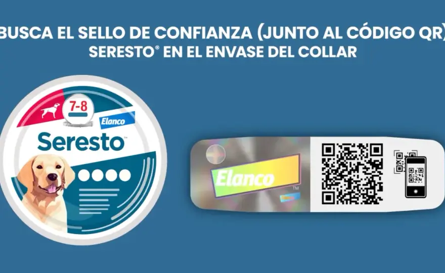 Seresto en cachorros - ¿Cuándo y cómo usarlo sin riesgo?