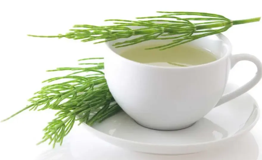 Cómo limpiar el organismo de medicamentos de forma natural y efectiva